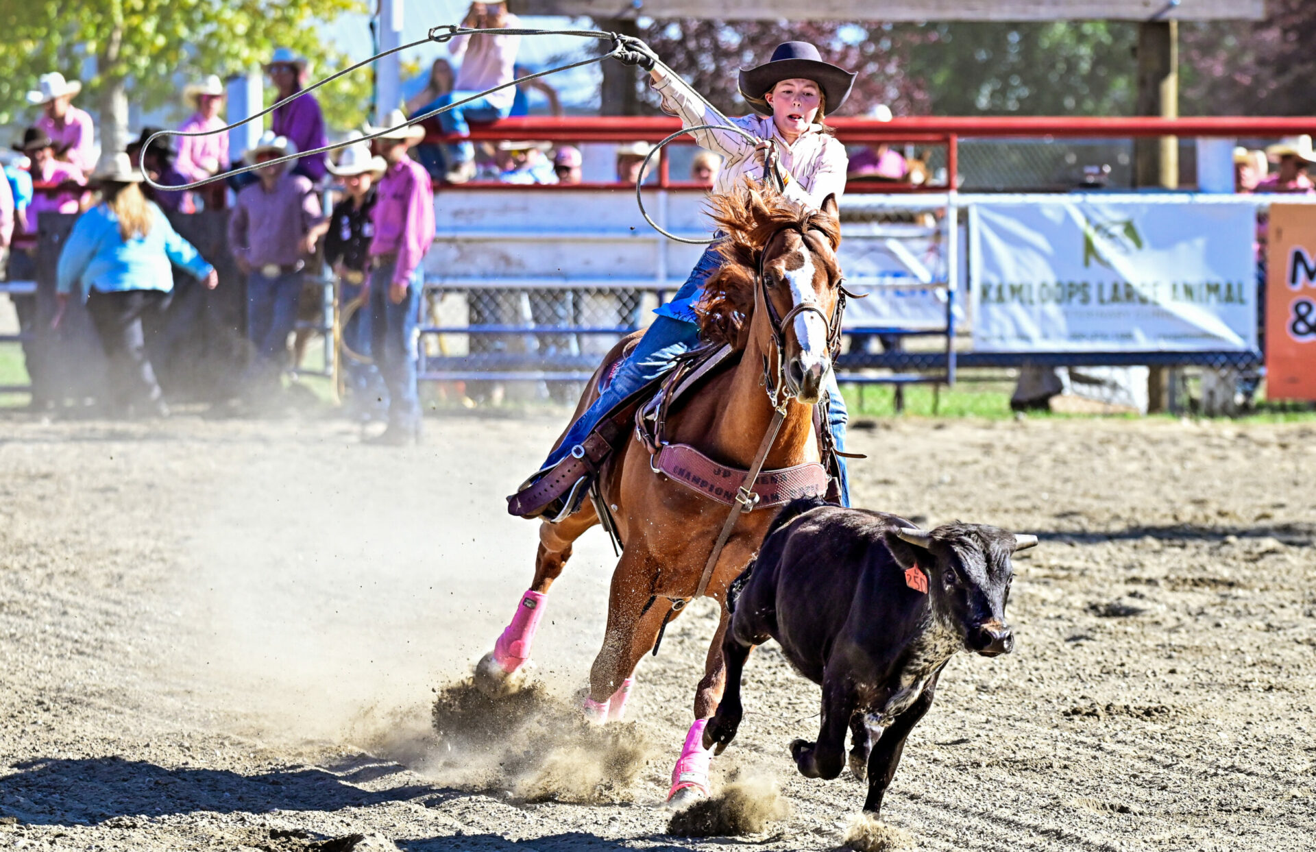 North Thompson Fall Fair & Rodeo