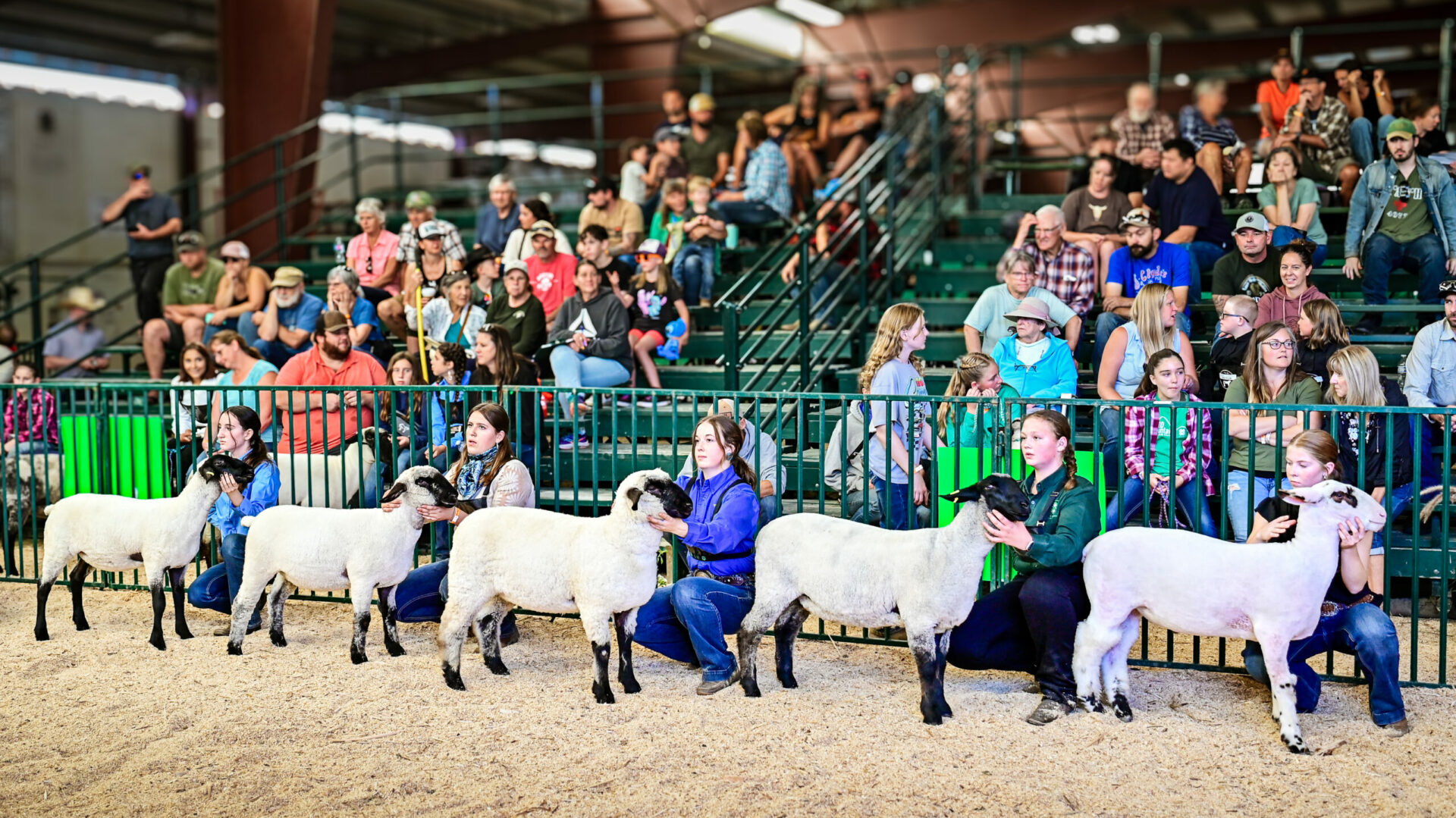 North Thompson Fall Fair & Rodeo